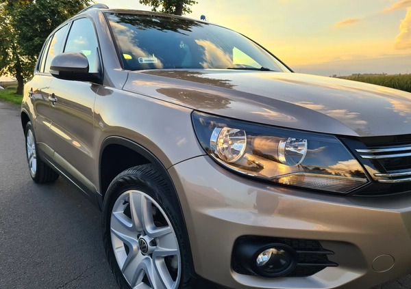 Volkswagen Tiguan cena 61500 przebieg: 120000, rok produkcji 2016 z Pogorzela małe 92